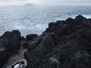 写真右上方が本流釣りポイント