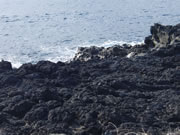 先端が釣り座。階段状の岩を下っていく